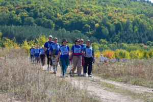 В воскресенье, 15 сентября, состоится региональный фестиваль.