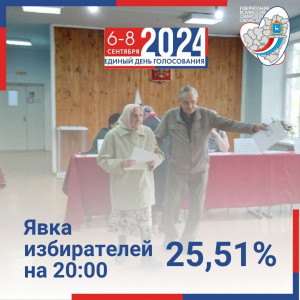 Свой выбор уже сделали 608 184 человека.