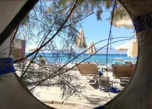 Самарцы отдыхают от мессенджеров в Сочи