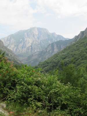 Это экологические маршруты по Жигулёвскому государственному природному биосферному заповеднику имени И. И. Спрыгина.