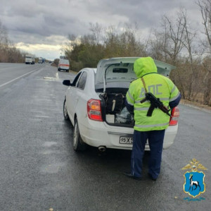 В Самарской области подведены итоги оперативно-профилактического мероприятия «Автомобиль»