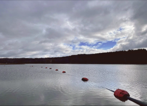 В этом году завершается первый этап расчистки русла Сызранки