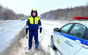 На юге Самарской области сегодня ночью ожидается сильный снег.