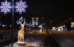 На Московском шоссе в Новому году установят 79 крупных световых фигур - шишек, пирамид, деревьев, беседок и оленей, 28 наземных шаров, а также различные виды гирлянд.