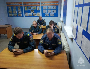 К Экодиктанту в онлайн-режиме присоединились около 2,5 тысяч сотрудников Главного управления МЧС России по Самарской области.