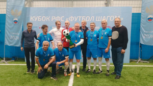 Девять команд-участниц разделены на два дивизиона.