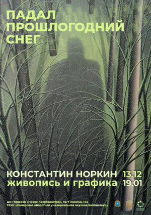 В Самаре галерея «Новое пространство» приглашает на выставку работ Константина Норкина