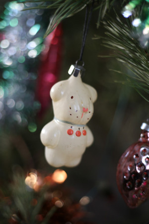 Россияне запланировали провести новогодние каникулы дома с семьей