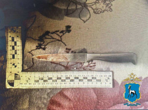 Тольяттинец напал с ножом на сожительницу