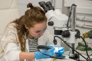 В СамГМУ выпустили более 1000 эндопротезов с момента запуска собственного производства