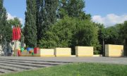Спил деревьев в парке Щорса в Самаре объяснили борьбой с ясеневой златкой