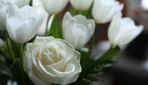 Вячеслав Федорищев поздравил самарчанок с Международным женским днём