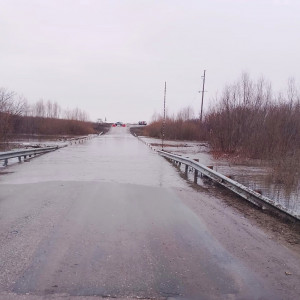 В Самарской области в Пестравском районе паводком затопило мост