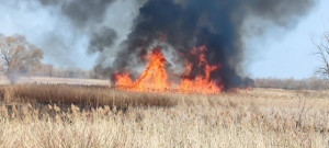 Огнеборцы за сутки 12 раз выезжали на тушение сухой травы и мусора на территории Волжского района
