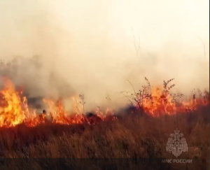 Самарцев предостерегают от пала сухой травы