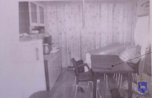 соседка обокрала дачу тольяттинца