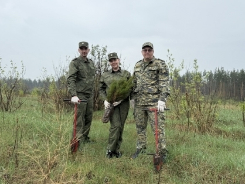 Сотрудники СУ СКР СО приняли участие в международной акции «Сад памяти»