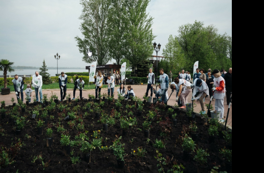 На Чкаловском спуске в Самаре энергетики «Т Плюс» высадили розы в честь юбилея Самарской ГРЭС