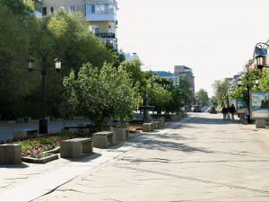 В Самаре на Ленинградской увеличат количество вазонов и клумб