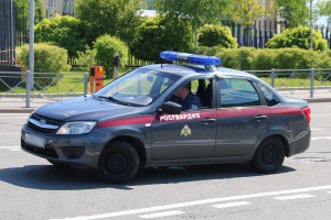 Росгвардейцы задержали тольяттинца за кражу более четверти миллиона рублей