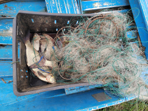 Возбуждено уголовное дело.