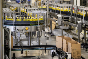 Самарская область лидер ПФО по поставке продукции АПК в дружественные страны