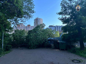 В настоящее время ребенок госпитализирован. 