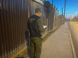 безнадзорные собаки напали  на женщину в Советском районе города Самары