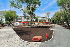 Более 23 тысяч кустарников высадят в Самаре в рамках программы «Формирование комфортной городской среды»