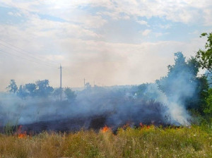 В Хворостянском районе горела трава на 1500 кв. метров