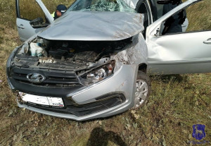 Водитель и двое пассажиров - 64-летняя женщина, 3-летняя девочка,  госпитализированы.