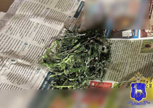 Мужчина пояснил, что собрал дикорастущую коноплю на пустыре, высушил и хранил её для собственного употребления.