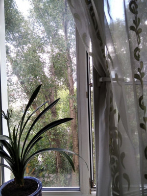 В Самаре ночью +20, +22°С, днем +29, +31°С.