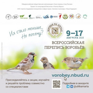 Самарцев приглашают к переписи воробьев