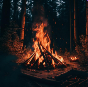 В период с 10 по 14 августа местами в Самарской области сохранится высокая пожарная опасность лесов