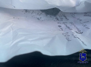 В Жигулёвске на территории садоводческого некоммерческого товарищества задержали наркомана