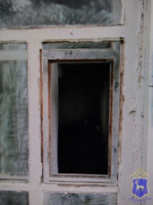 Трое жителей Самарской области сговорились и украли телевизор