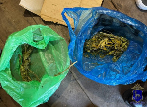 Дикорастущие растения он собрал на окраине села и высушил для собственного употребления.