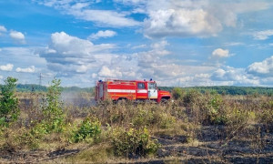 Огонь ликвидирован на площади 50 гектаров.