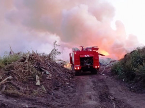 Огонь распространился на 100 квадратных метров.