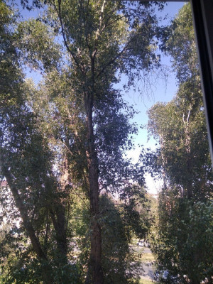 Порывы 15-18 м/с.