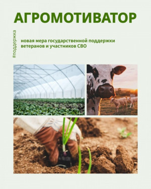 Консультационная поддержка участников и ветеранов СВО охватывает целый ряд вопросов, включая подготовку бизнес-плана, сбор документов и подачу заявки.