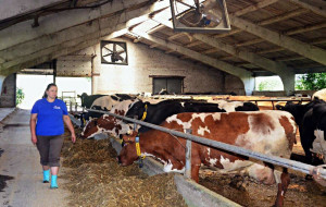 Переселившимся в Самарскую область и трудоустроившимся на региональные предприятия, оказывается финансовая поддержка. 