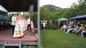 Регулярное проведение таких фестивалей, как «Репин навсегда», «Чистый Репин» и «Есенинская осень», сделало село Ширяево заметным явлением в культурной жизни страны.