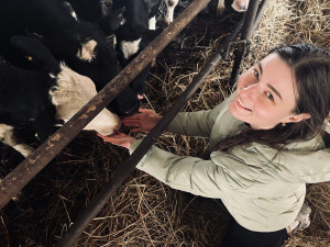 Благодаря господдержке.