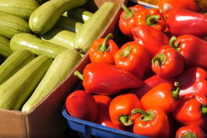 Первая ярмарка начала свою работу около ДК «Октябрь в поселке Мехзавод.