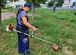 Более 263 тысяч квадратных метров газонов Самары приведены в надлежащий вид