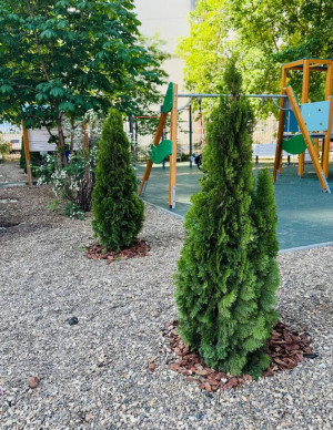 На сегодняшний день работы полностью завершены в нескольких городах и районах области.