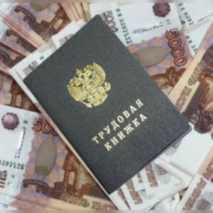 В ходе следствия задолженность перед работниками погашена в полном объеме.