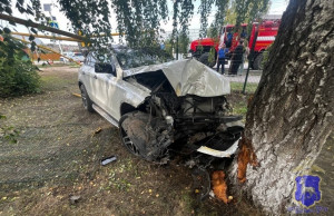 Со слов 20-летнего водителя автомобиля, он перепутал педали, из-за чего не справился с управлением и совершил наезд.